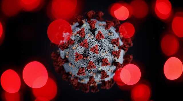 Украину ждет два сценария развития эпидемии коронавируса: инфекционист рассказал детали