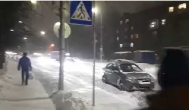 У Києві чоловік нацькував пса на авто, яке припаркувалось на "зебрі"