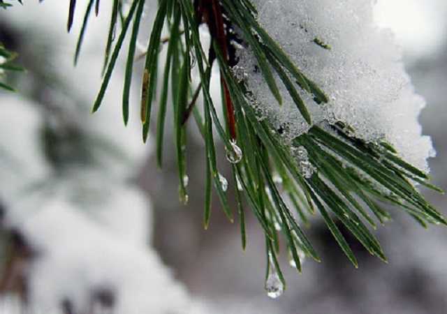 Когда в Украине начнется существенное потепление