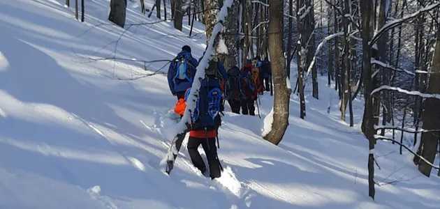 В Карпатах на пятые сутки обнаружили следы пропавшего туриста: поиски продолжили