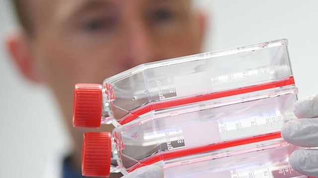 В Польше выявили первый случай южноафриканского штамма коронавируса