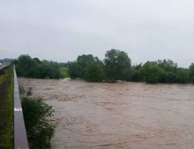 В Украину из Румынии по реке идет шлейф опасных отходов