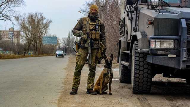 Собака помогла отыскать схрон боеприпасов в прифронтовой Авдеевке