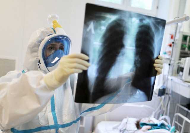   COVID-19 :   ,  ,    , - 