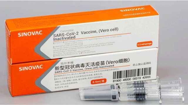     Sinovac,      