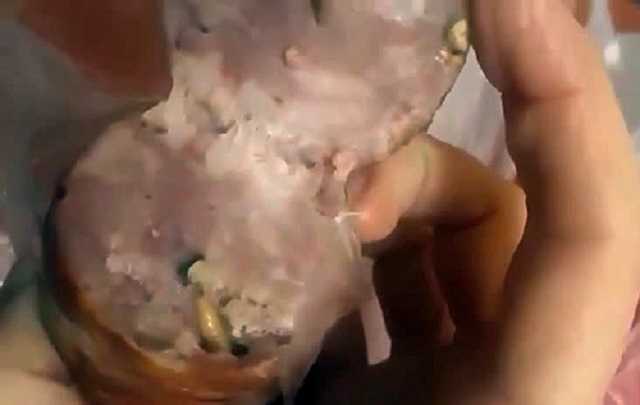 Одесситка купила в магазине колбасу с живой "начинкой"