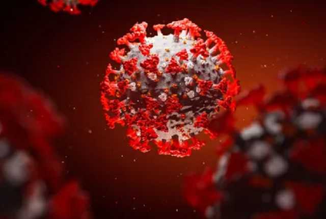 В России обнаружили южноафриканский штамм коронавируса