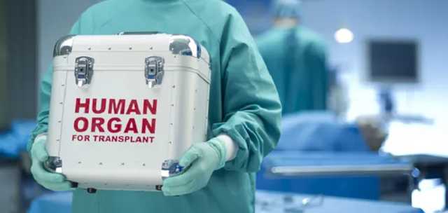 Тодуров рассказал, как украинцы могут стать донорами органов