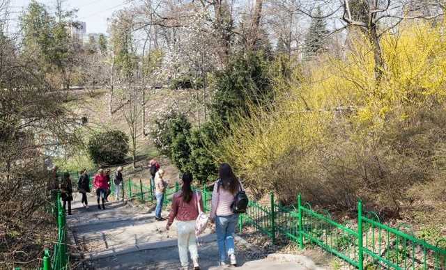 До +8 днем и до -10 ночью: в Украине прогнозируют температурные качели