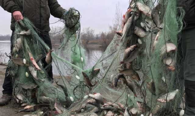 На Буковині трьох громадян засуджено за браконьєрство