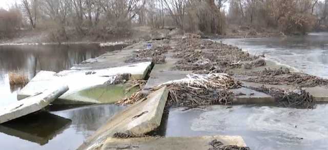 Река Днепр через несколько лет может стать болотом: что нашли эксперты