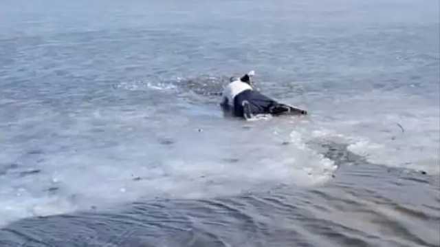 Киевлянин спас девушку, которая провалилась под лед