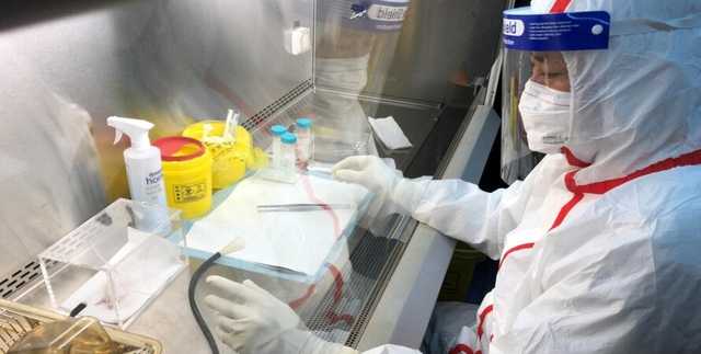 71% украинцев считает, что коронавирус создали искусственно, – опрос