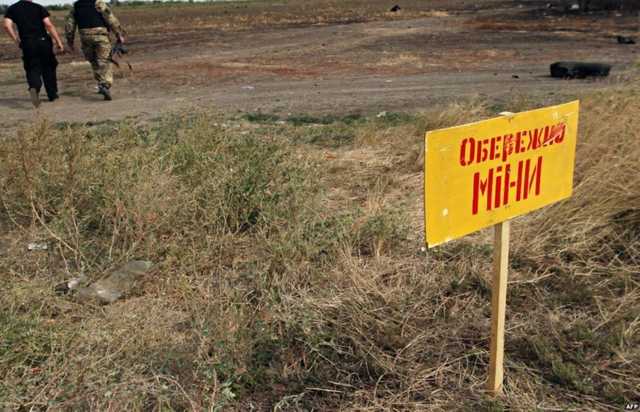 На разминирование Донбаса понадобится 25-30 лет, - Резников