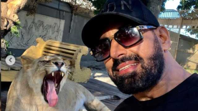 Харьковский депутат задекларировал живого льва