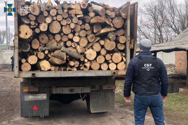 В Днепре чиновник «Укрзализныци» незаконно торговал древесиной