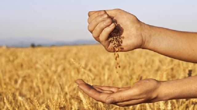 Зеленский в Катаре: Украина готова выступить гарантом мировой продовольственной безопасности