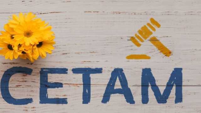 Предлагают снизить цены: как в Украине решили изменить правила продажи арестованного имущества