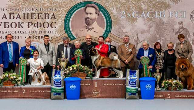 Суддя КСУ їздить на собачі виставки в Росію