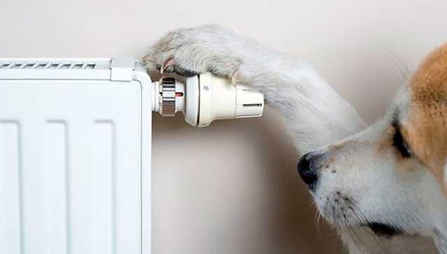 В Киеве начали отключать отопление