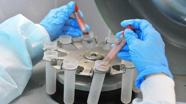 В столице зафиксирован суточный антирекорд смертей от COVID-19