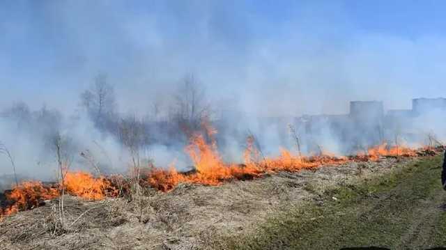 Сжигая траву под Ровно в огне пожара погиб мужчина. Его мать спасли соседи