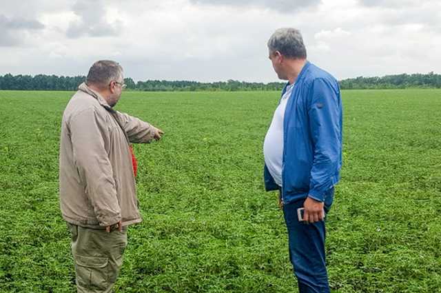 Дніпропетровщина: Держгеокадастр відбирає землю в місцевих жителів