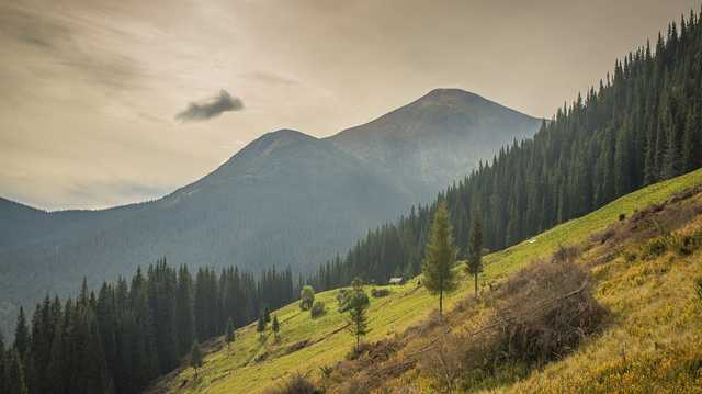 На Закарпатье СБУ разоблачила земельные аферы чиновников Госгеокадастра