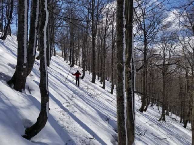 «Фатальный срыв»: спасатели рассказали, как погиб в горах турист из Киева