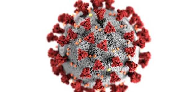 Эпидемиолог пояснила всплеск COVID-19 в Индии суммированием многих мутаций
