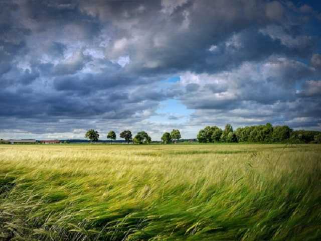 Синоптики предупредили об опасных погодных явлениях в Киевской и Одесской областях