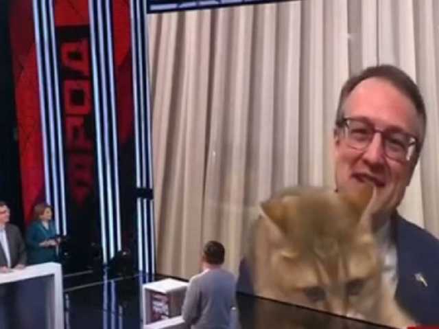 Кот замглавы МВД стал «звездой» вечернего ток-шоу