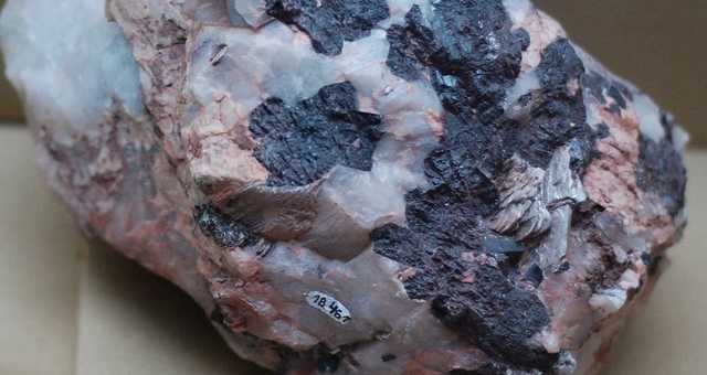 “Магія” повторного аукціону: спецдозвіл розіграли у 35 разів дешевше