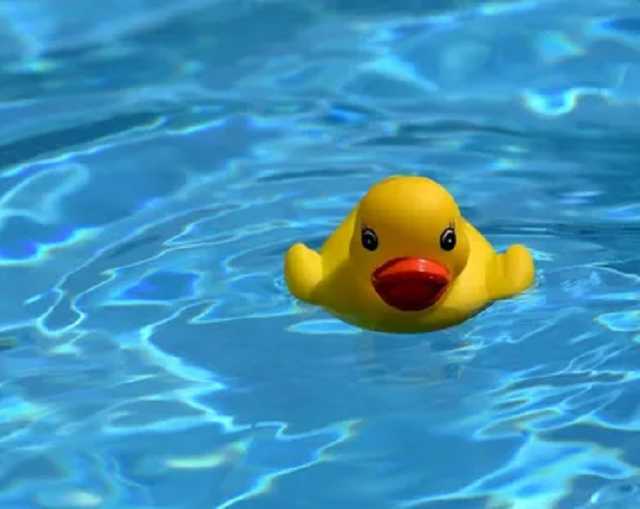 В Тернополе 3-летняя девочка утонула в аквапарке: врачи запустили сердце после клинической смерти