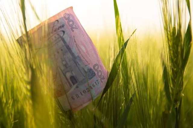 У Раді хочуть повернути ставку ПДВ для аграріїв у 20%