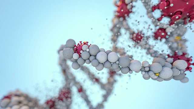 Известный врач дал прогноз по новой волне коронавируса в Украине