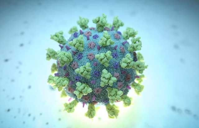 Медики нашли новый вид плесени в организме пациента после COVID-19