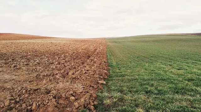 Пограничники Украины не планируют закрывать сухопутную границу с Беларусью