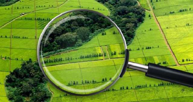 В Одесской области экс-руководство Госгеокадастра украло земли НААН