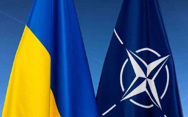 Резников встретился с заместителем генсека НАТО