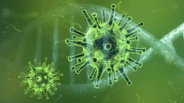 У разведки США появились новые данные о происхождении коронавируса