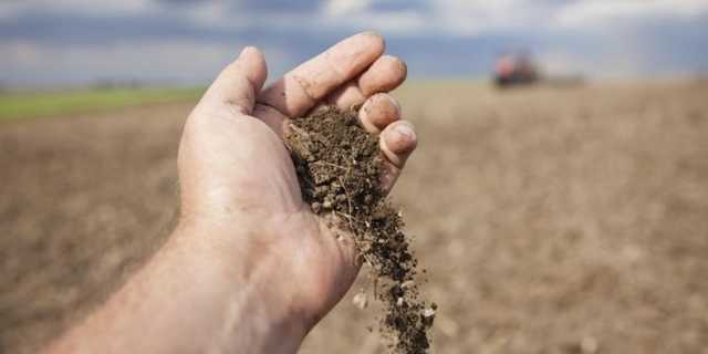 Мошенники "распродали" госземли на Львовщине почти на 20 млн грн, - СБУ