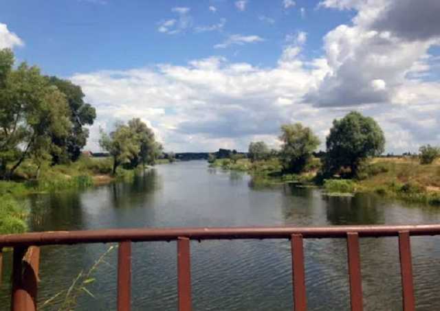 Начала массово гибнуть рыба: на Киевщине обнаружили экологическую катастрофу