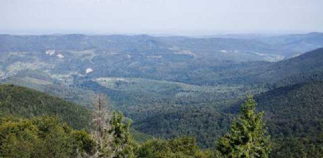 В Карпатах произошло землетрясение — ГСЧС