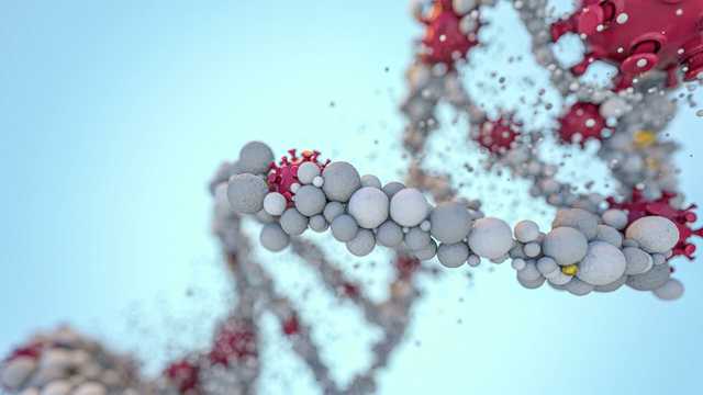 ВОЗ о новых штаммах COVID-19: могут быть катастрофические последствия
