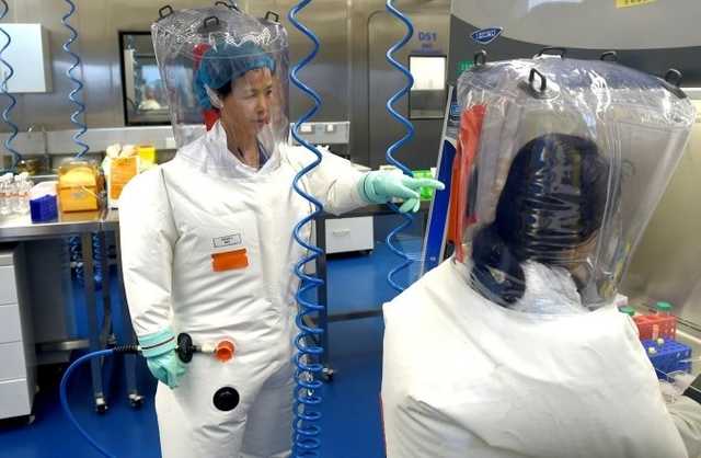 Последовательность геномов указывает на искусственное происхождение коронавируса, – WSJ