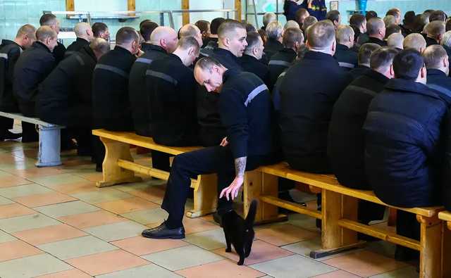 В России заключенных заставят строить участок второй линии Байкало-Амурской магистрали