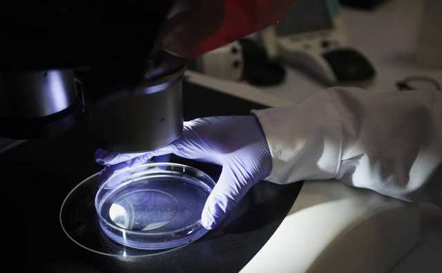 В Киеве биотехнолог украл опасные штаммы вирусов