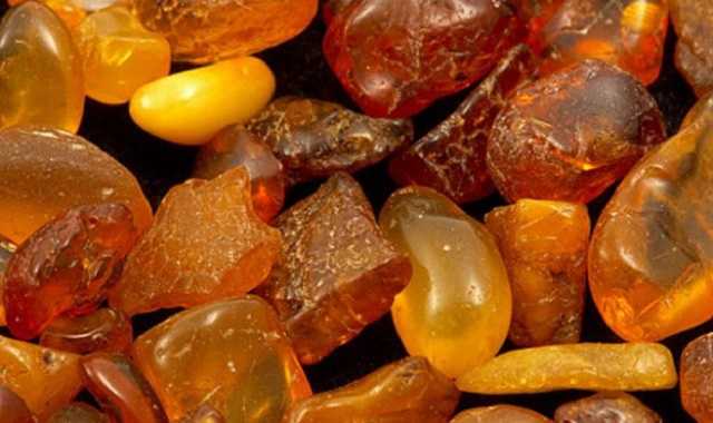 Компанія з Рівного на самоті розіграла дві бурштинові ділянки