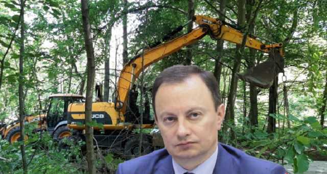 ЖК посреди векового леса: экс-нардеп Андриевский продолжает “оккупацию” Пущи-Водицы